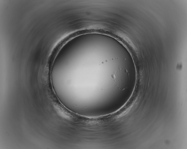 X0000094801021200711161453