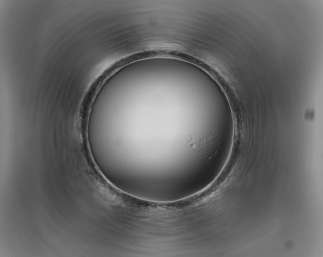 X0000094801022200711161453