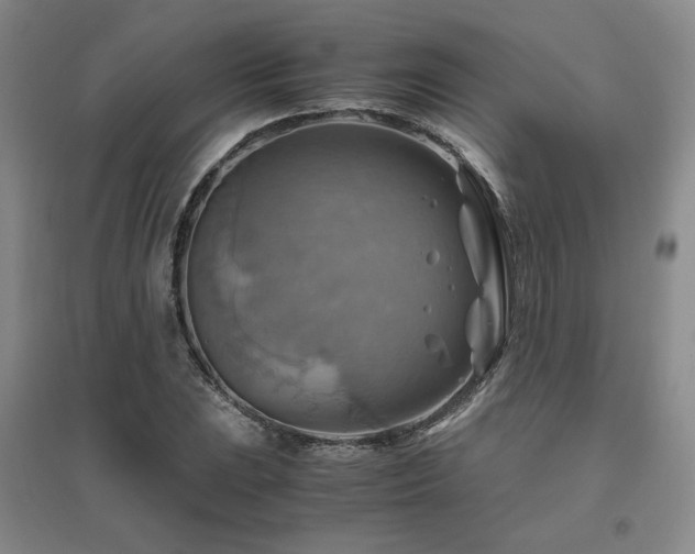X0000094801023200711161453
