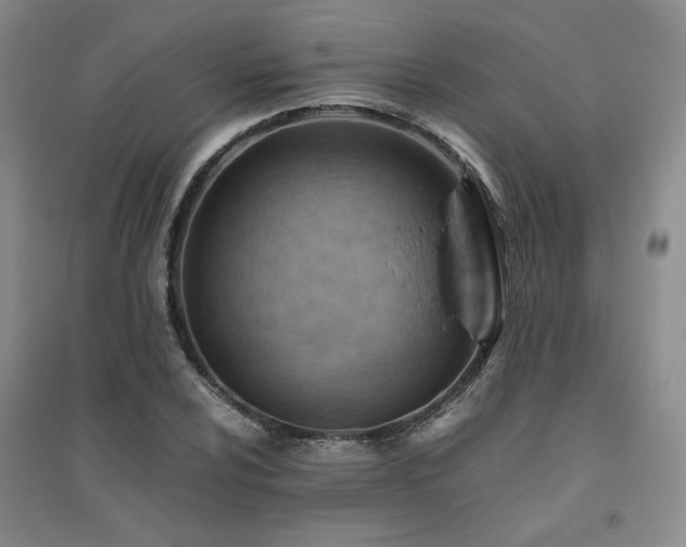 X0000094801024200711161453