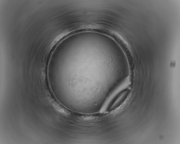 X0000094801025200711161453