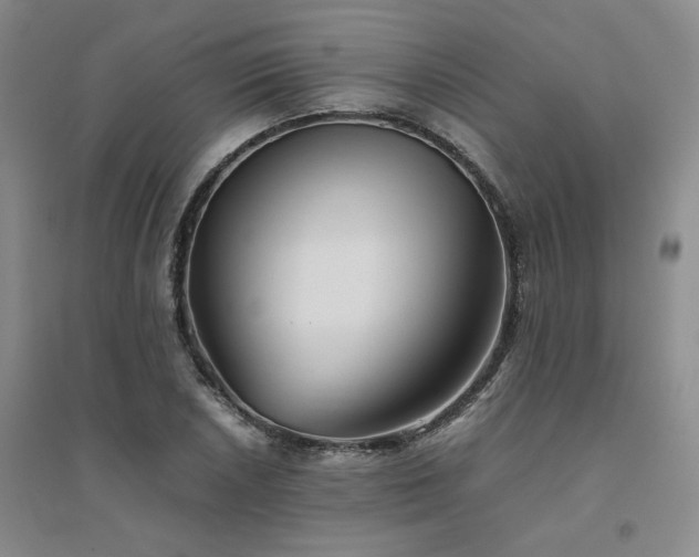 X0000094801026200711161453