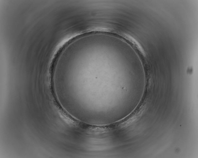 X0000094801027200711161453