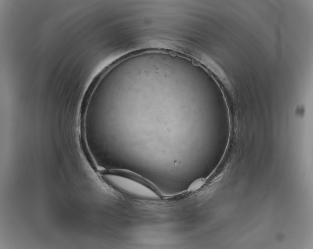 X0000094801028200711161453