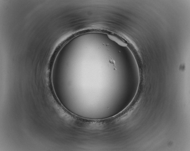 X0000094801029200711161453