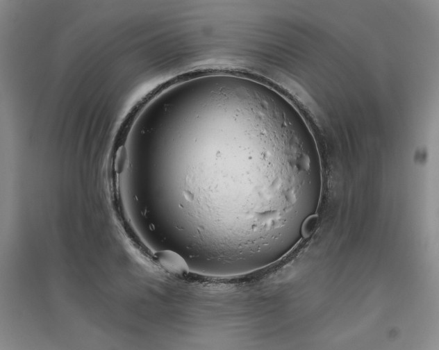 X0000094801030200711161453