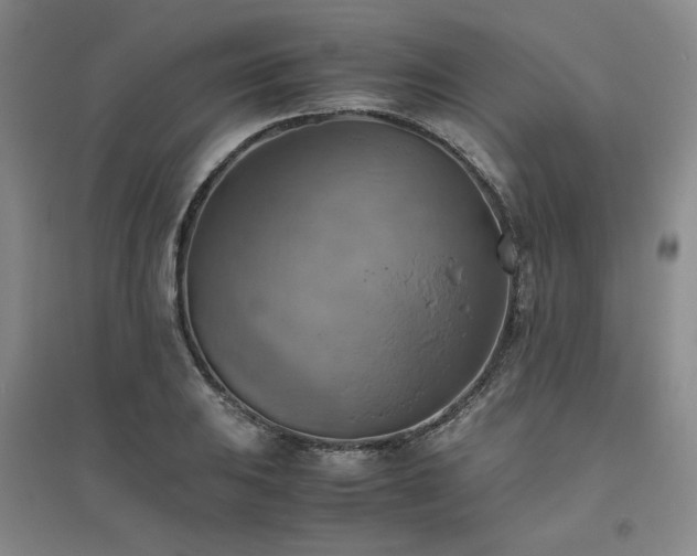X0000094801031200711161453