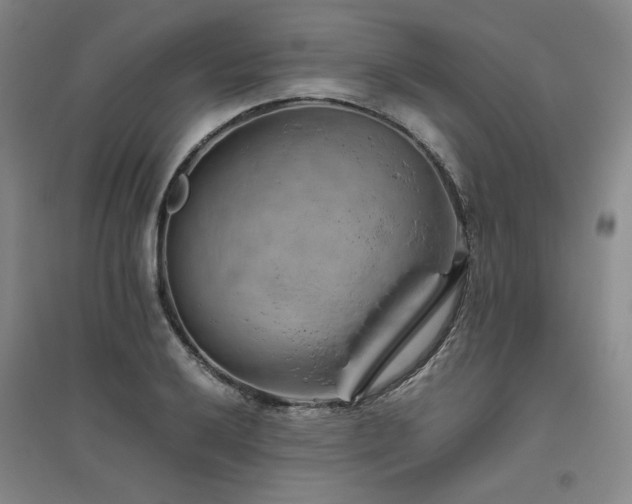 X0000094801032200711161453