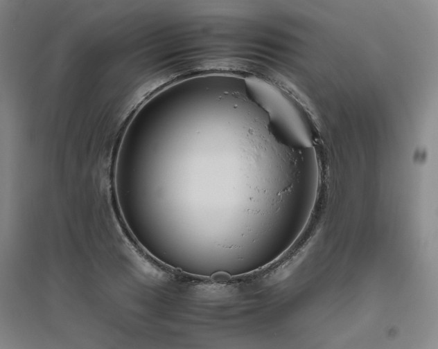 X0000094801033200711161453