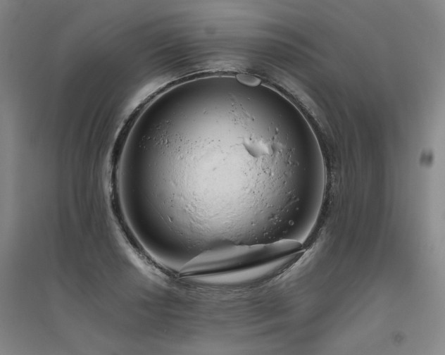 X0000094801034200711161453