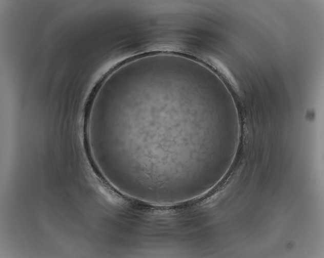 X0000094801035200711161453