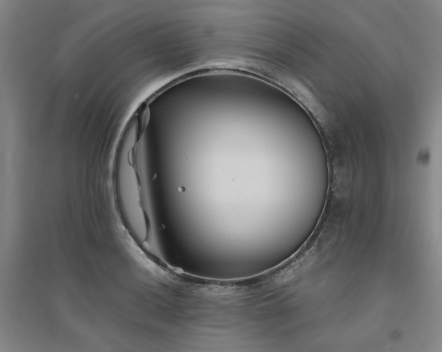 X0000094801036200711161453
