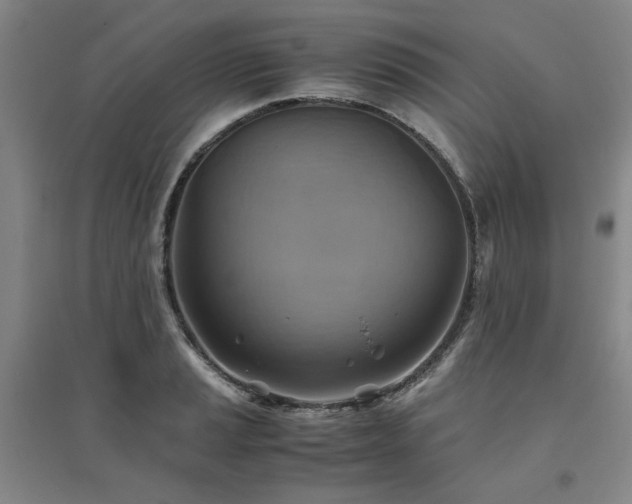 X0000094801037200711161453