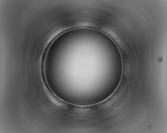 X0000094801039200711161453
