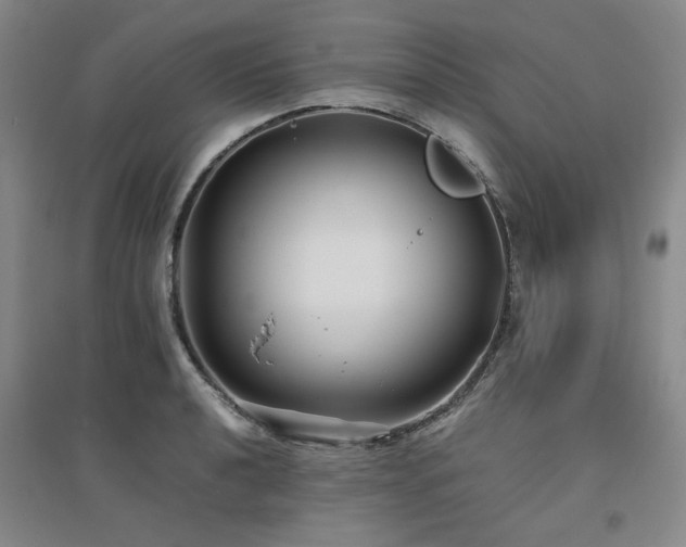 X0000094801040200711161453