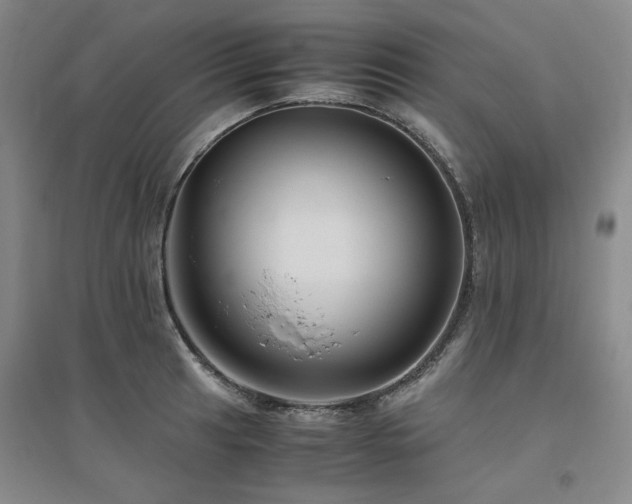 X0000094801041200711161453