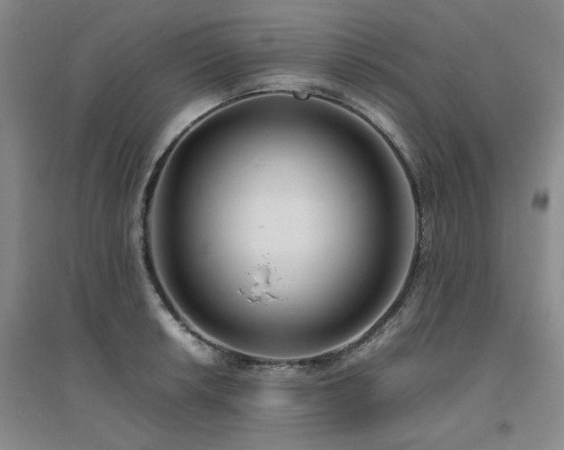 X0000094801042200711161453