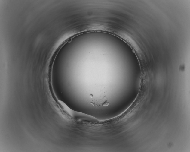 X0000094801043200711161453