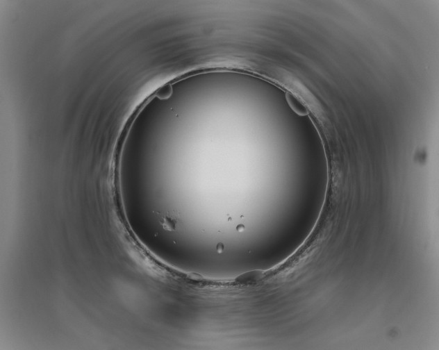 X0000094801044200711161453