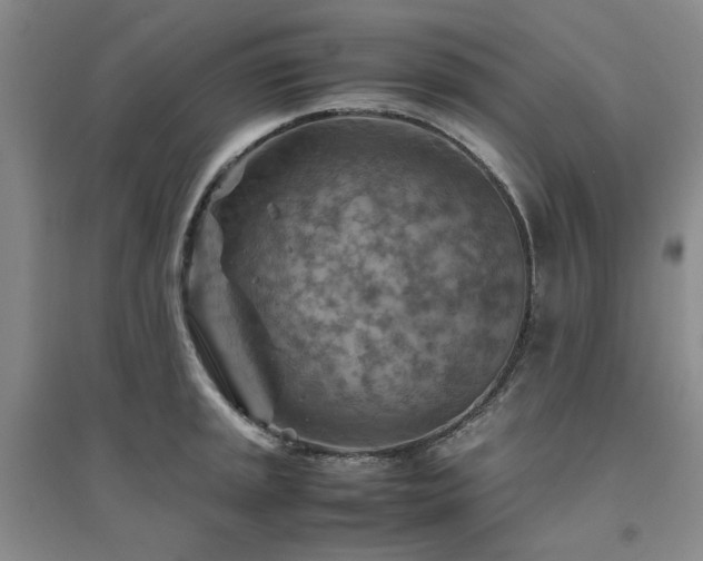 X0000094801045200711161453