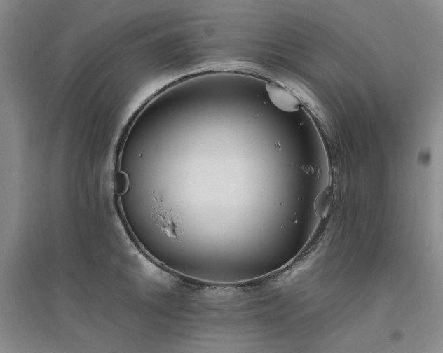 X0000094801046200711161453