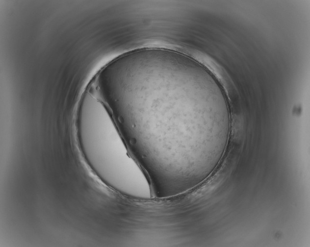 X0000094801048200711161453