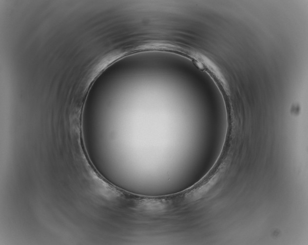 X0000094801049200711161453