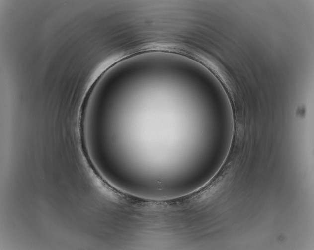 X0000094801050200711161453