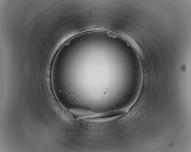 X0000094801051200711161453
