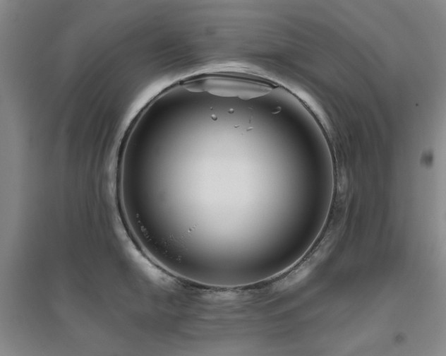 X0000094801054200711161453