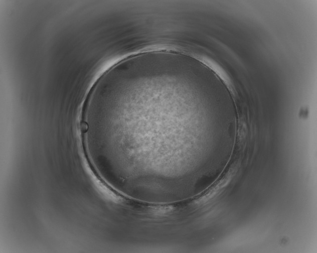 X0000094801055200711161453