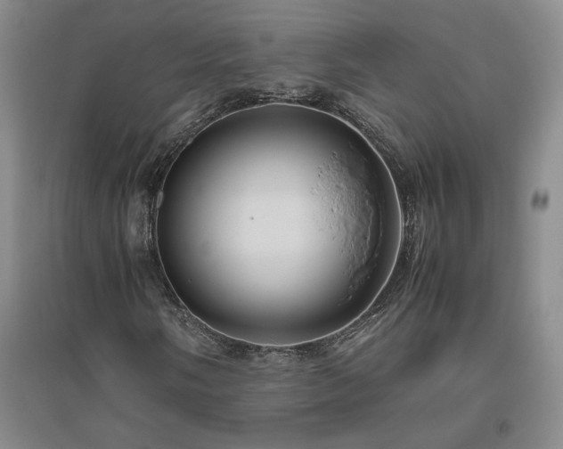 X0000094801058200711161452