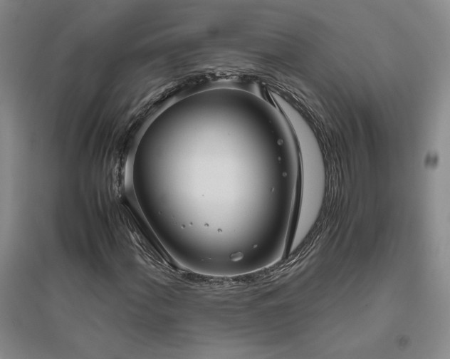 X0000094801060200711161452