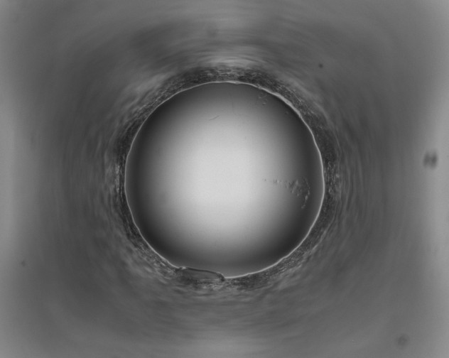 X0000094801061200711161452