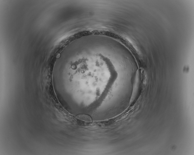 X0000094801063200711161452