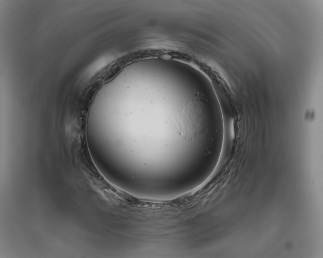 X0000094801064200711161452