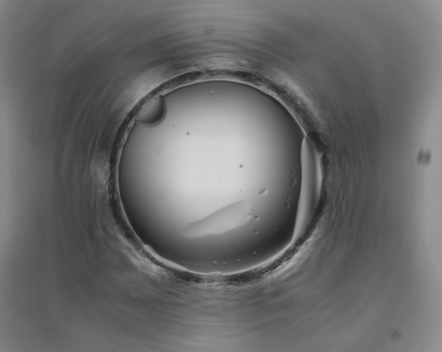 X0000094801065200711161452
