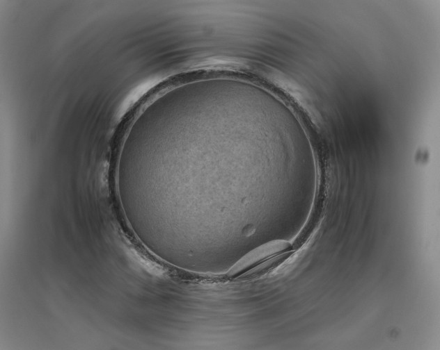 X0000094801066200711161452
