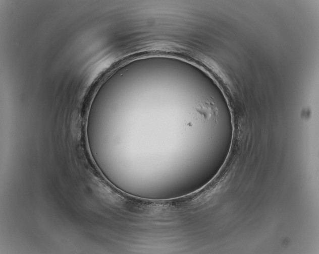 X0000094801067200711161452