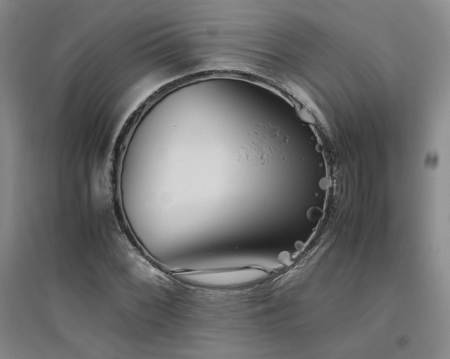 X0000094801068200711161452