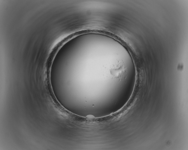 X0000094801070200711161452