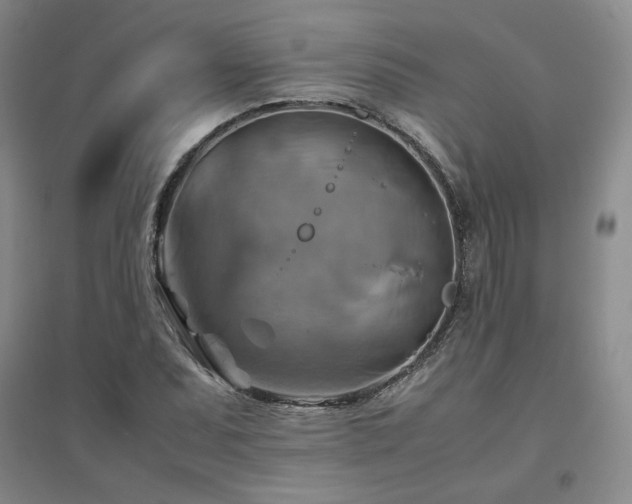 X0000094801071200711161452