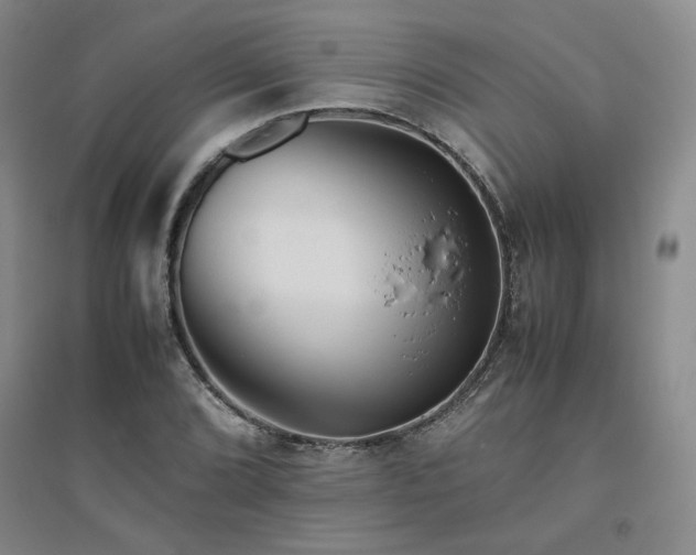 X0000094801072200711161452