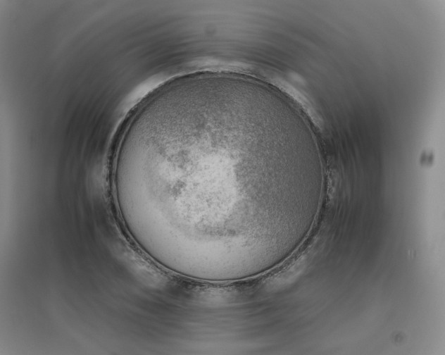 X0000094801074200711161452