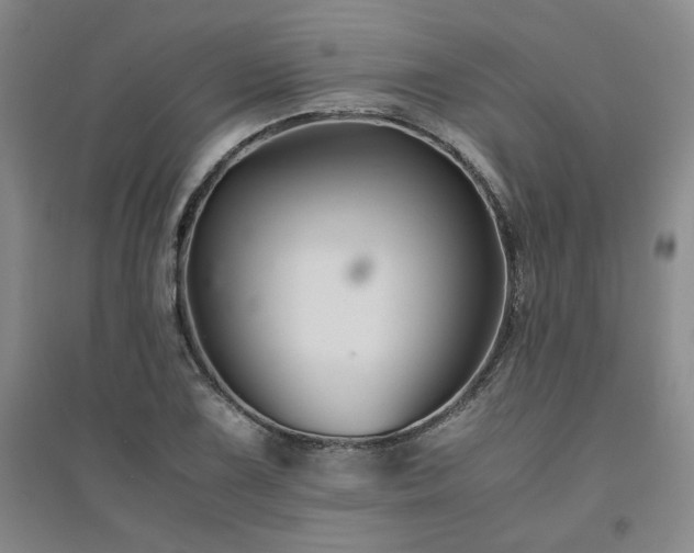 X0000094801075200711161452