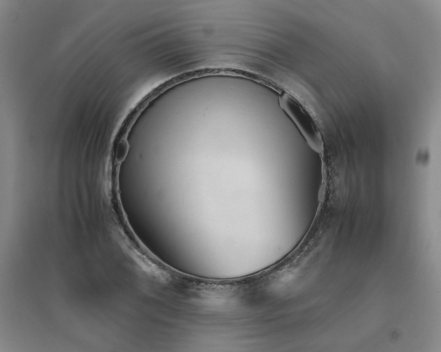X0000094801076200711161452