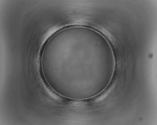 X0000094801077200711161452