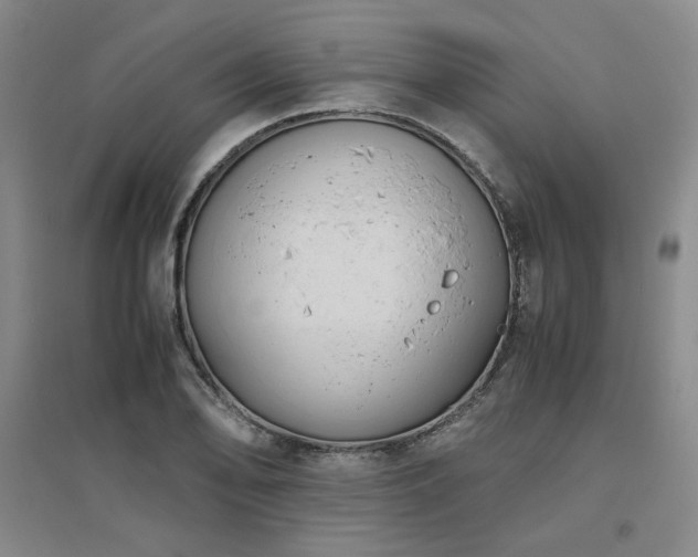 X0000094801078200711161452