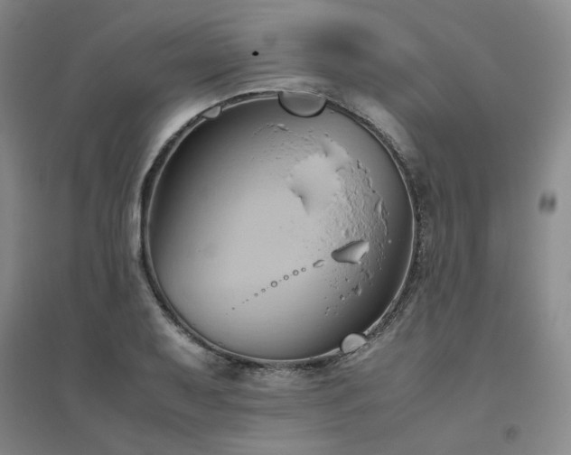 X0000094801079200711161452