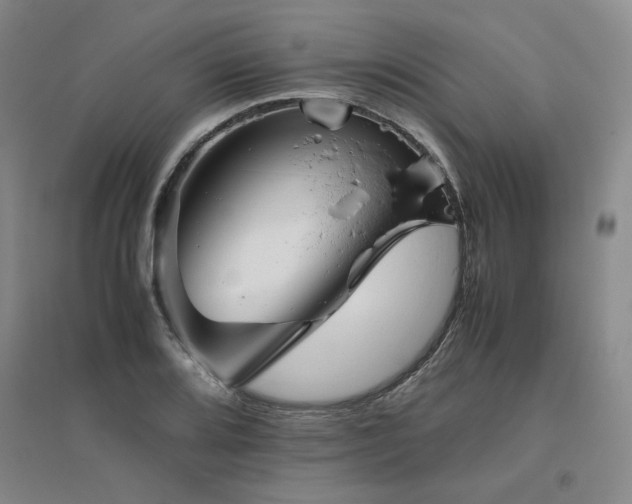 X0000094801080200711161452